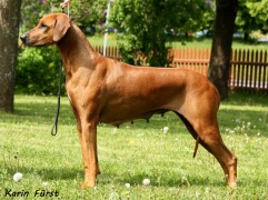 2012-05-29 Loke