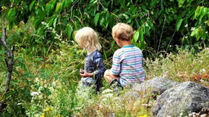 ”Man kan inte påstå att barnrättsperspektivet stärks genom att göra det lättare för socialtjänsten att rycka upp barnen från sin trygga miljö”, skriver AnnSophie Forsell Öhrn, Lena Fenryr, Jeanette Ro