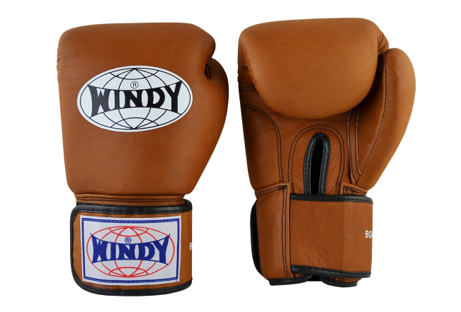 Windy Boxing Gloves
