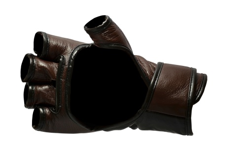 Boon Sport MMA Glove