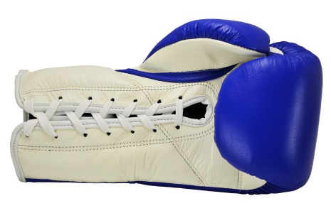 Boon Sport Boxing Glove