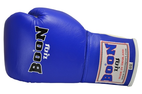 Boon Sport Boxing Glove