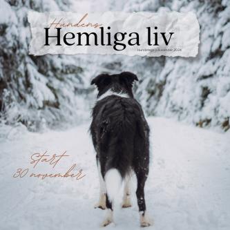 Hoppas vi ses i hunden hemliga värld...