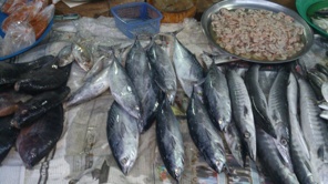 Färsk fisk på fredagsmarknaden