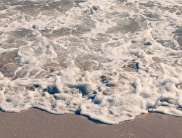 IMG_4606 IMG_4606