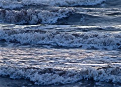 IMG_7340 IMG_7340