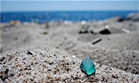 IMG_5915 IMG_5915