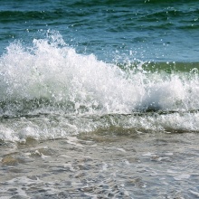 IMG_4573 IMG_4573