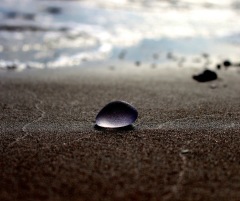 IMG_1373 IMG_1373