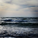 IMG_0124 IMG_0124