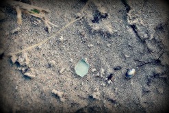 IMG_0163 IMG_0163