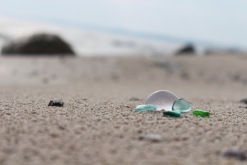 IMG_1289 IMG_1289