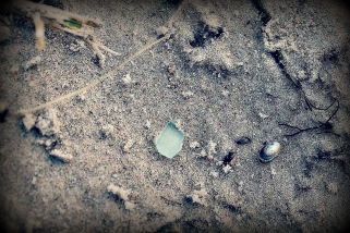 IMG_0163 IMG_0163