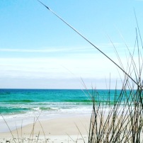 IMG_0357 IMG_0357