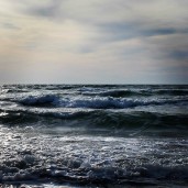 IMG_0124 IMG_0124