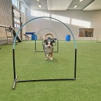 Hoopers, grundkurs start 3/9 -25