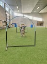 Hoopers, grundkurs start 3/9 -25