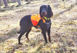 Patjanens Villa Valentina