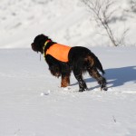 Hagelsprutans Åptimala Åliver