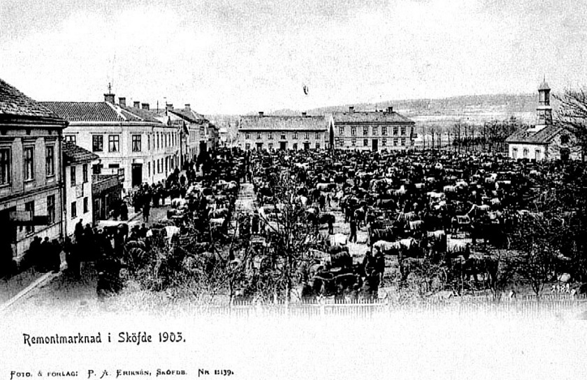 Sandtorget fyllt av hästar och människor. Spruthuset med sitt höga torktorn flankerar torget i norr. (Västergötlands Museum) Sandtorget fyllt av hästar och människor. Spruthuset med sitt höga torktorn flankerar torget i norr. (Västergötlands Museum)