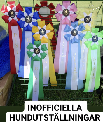 Uppdaterad lista på information om  Inofficiella Hundutställningar i Sverige