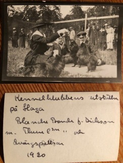 Foto från kennelklubbens utställning på Haga, år 1920, Grevinnan Blanche Bonde med en rad svarta Dvärgspetsar från kennel Tjolö.