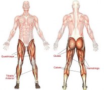 Bild hämtad från: fitnessanddefense.com Bild hämtad från: fitnessanddefense.com