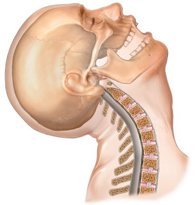 Bilden är hämtad från: www.medicallegalblog.com Bilden är hämtad från: www.medicallegalblog.com