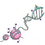 Avhandling - DNA