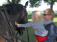 Astrid o mormor klappar hästen.