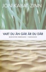 En handledning i konsten att meditera och att lära känna sig själv. Att bli vaknare för det som sker just nu, både inom sig själv och i omvärlden.