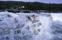 Gei_8893.Forsränning